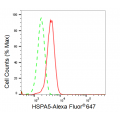 KD-Validated HSPA5 Rabbit mAb (20 μl)