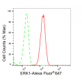 KD-Validated ERK1 Rabbit mAb (20 μl)