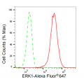 KD-Validated ERK1 Rabbit mAb (20 μl)