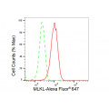 KD-Validated MLKL Rabbit mAb (20 μl)