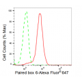 KD-Validated Paired box 6 Rabbit mAb (20 μl)
