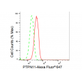 KD-Validated PTPN11 Rabbit mAb (20 μl)