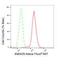 KD-Validated SMAD5 Rabbit mAb (20 μl)