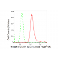 KD-Validated Phospho-STAT1 (S727) Rabbit mAb (20 μl)