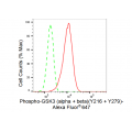 KD-Validated Phospho-GSK3A (Y216 + Y279) Rabbit mAb (20 μl)