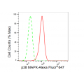 KD-Validated p38 MAPK Rabbit mAb (20 μl)