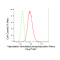KD-Validated VASP Rabbit mAb (20 μl)