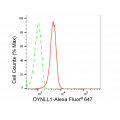 KD-Validated DYNLL1 Rabbit mAb (20 μl)