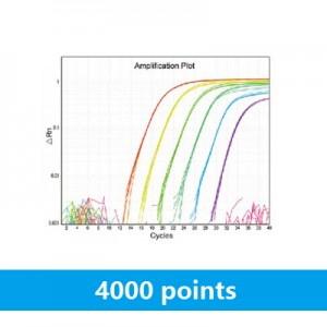 LiQuant™ Ultra SYBR Green qPCR Master Mix (100 rxns)
