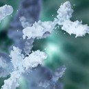 Tag & Loading Controls