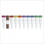 VAHTS Universal V8 RNA-seq Library Prep Kit for Illumina (24 rxns)