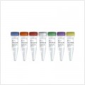 VAHTS Universal DNA Library Prep Kit for Illumina V4 (24 rxns)