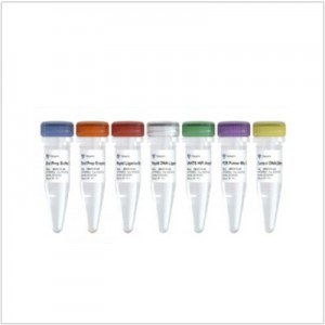 VAHTS Universal DNA Library Prep Kit for Illumina V4 (24 rxns)
