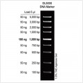 DL5000 DNA Marker (2× 500µl)