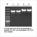 LiTaq™ Ultra HiFi DNA Polymerase (500 U)