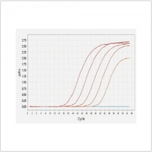 FastFire qPCR PreMix (Probe) (500 rxns)