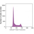Cell Cycle Green Stain (100 rxns)