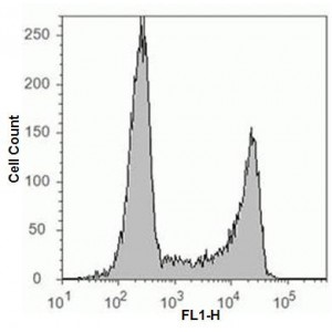 LiFluor™ 647 EdU Flow Cytometry Assay Kit (50 rxns)