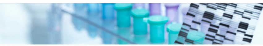 Custom DNA Libraries