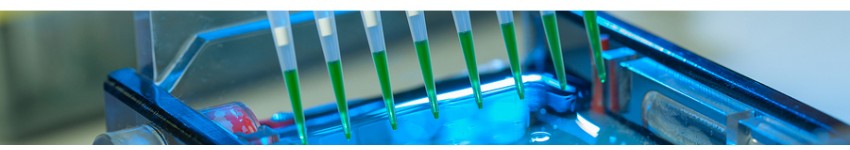 Early Stage Apoptosis Assay Kits