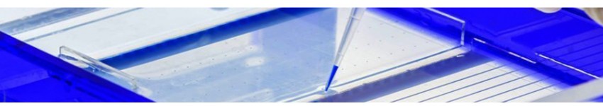 Ion Indicators & ROS Probes