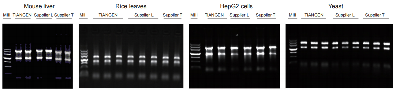 total rna purification kit