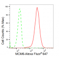 KD-Validated MCM6 Rabbit mAb (20 μl)
