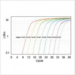 LiQuant™ Universal Green qPCR Master Mix (500 rxns) LiQuant™ Universal Green qPCR Master Mix (500 rxns)