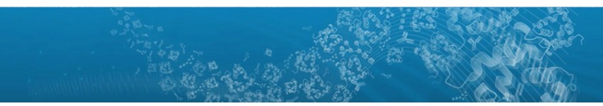 Portable Mass Spectrometer